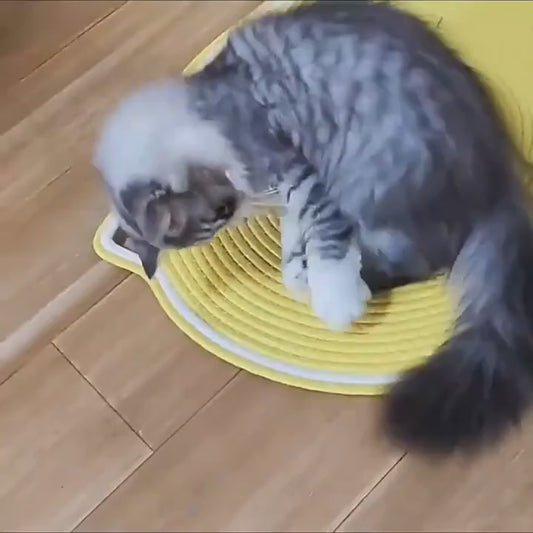 Premium Cat Scratching Pad – Durable Scratch Mat & Interactive Play Surface for Cats and Kittens